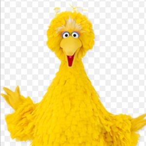 Meet your Posher, Jacob